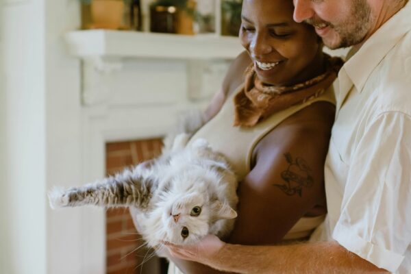 Whiskers and Whispers: A Tale of Love, Laughter, and a Furry Companion