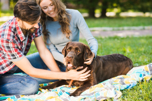 100 Date Ideas for Pet Parents and Animal Lovers – Outdoor Adventures: Picnic in the park with your pets